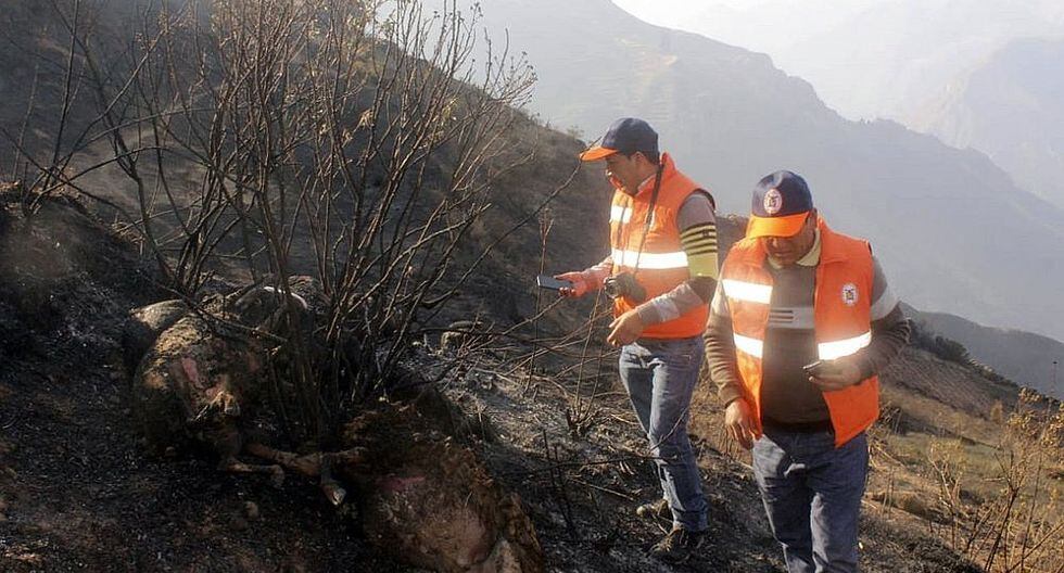 Extinguen incendios forestales en Puno, Apurímac, Cusco y Amazonas