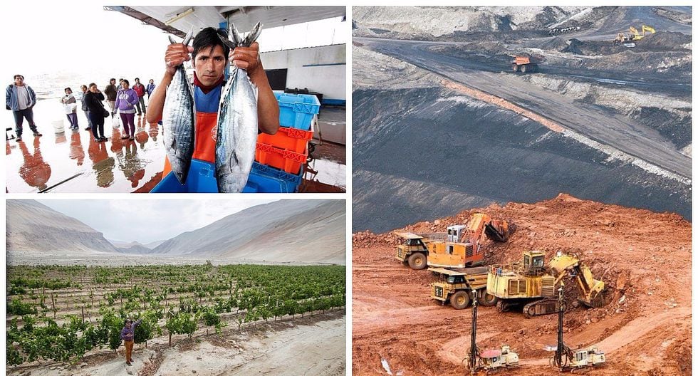 Pesca, agro y minería sostienen débil crecimiento del empleo