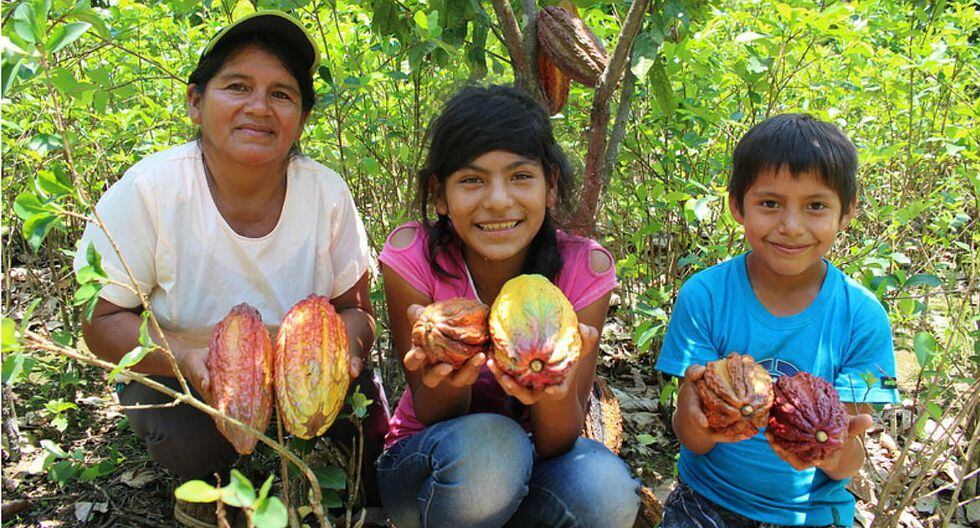 Aprueban plan de acción para el desarrollo del Vraem
