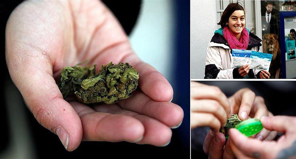 Uruguayos ya pueden comprar marihuana en farmacias (VIDEO)