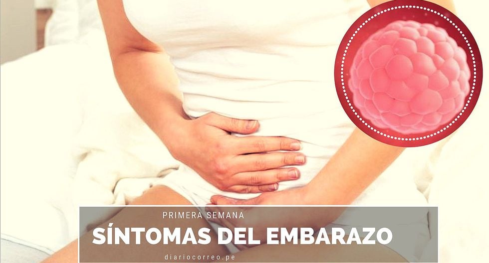 ¿Cómo se siente el vientre durante las primeras semanas de embarazo?