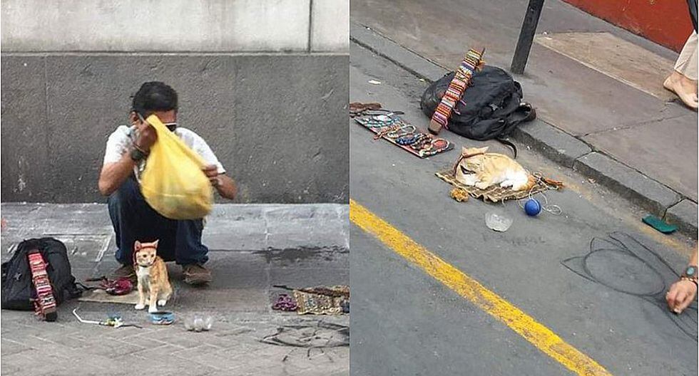 Hombre es acusado de drogar a gatos para utilizarlos como maniquies para vender pulseras