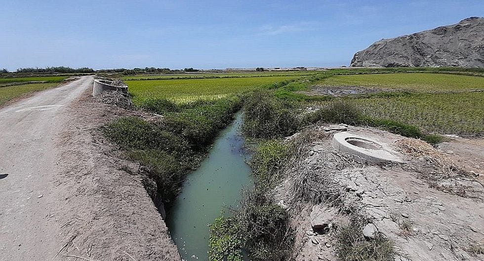 Destruyen hábitat del camarón en Ocoña