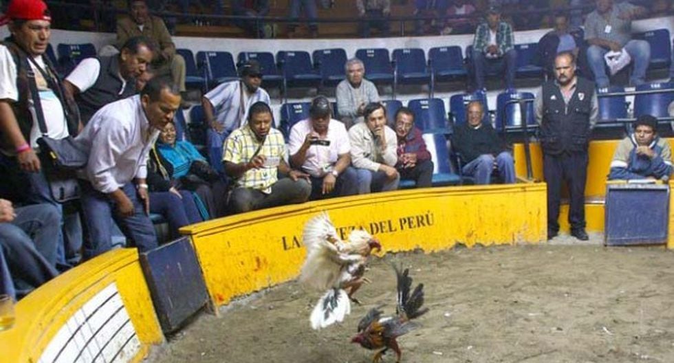 Tacna: pistoleros irrumpen en coliseo de gallos y roban S/.3,000