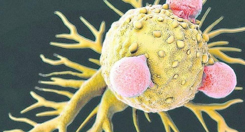 España: Primera inmunoterapia muestra eficacia en pacientes que padecen cáncer