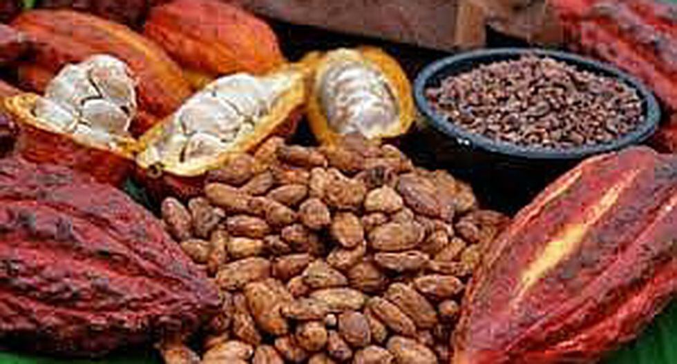 Mayor calidad del cacao le abrira las puertas del mundo
