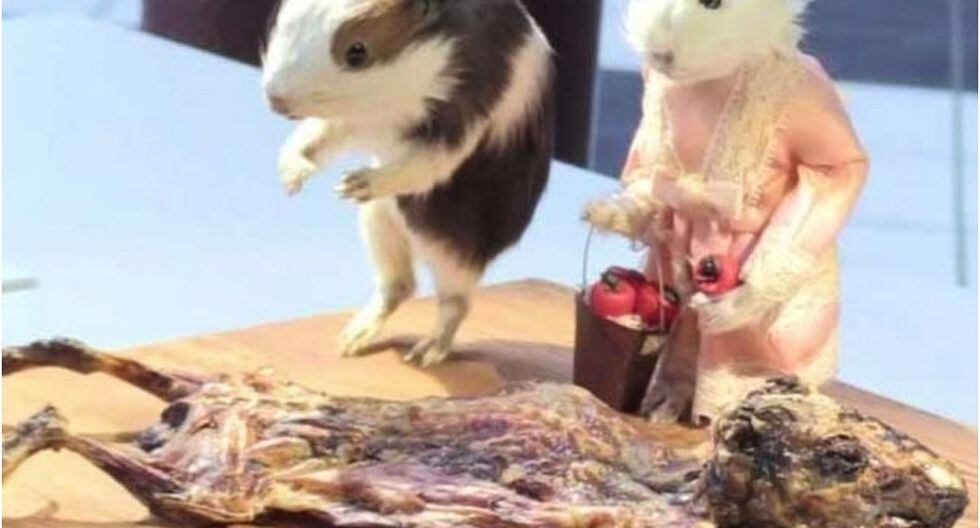 Cuy es exhibido en el “museo de comida asquerosa” en Europa (FOTO)