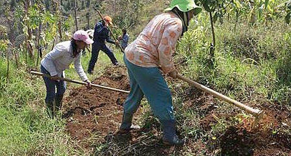 Crean proyecto social para lucha contra el desempleo de mujeres en Cusco