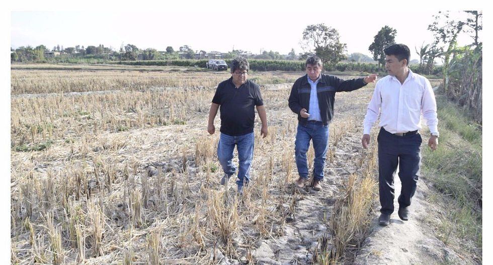 La Libertad: Agricultores piden continuidad de defensa ribereña en Cultambo