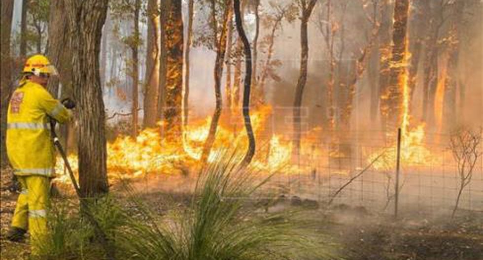 Australia: 300 incendios arrasan el sur en medio de una ola de calor