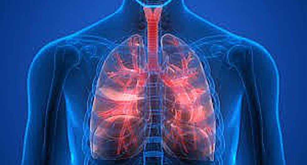 ¿Cuánto tiempo puede vivir una persona con fibrosis pulmonar?