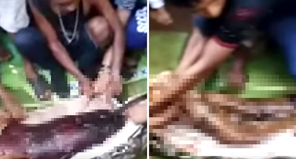 Indonesia: Mujer reportada como desaparecida fue engullida por pitón de 8 metros (FOTOS)