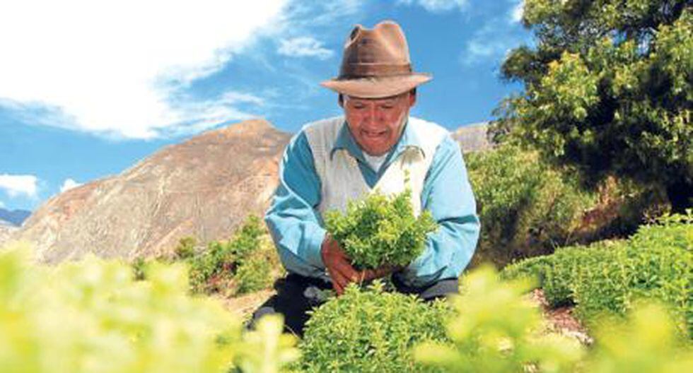 La Reforma Agraria empobreció a los campesinos y al agro peruano