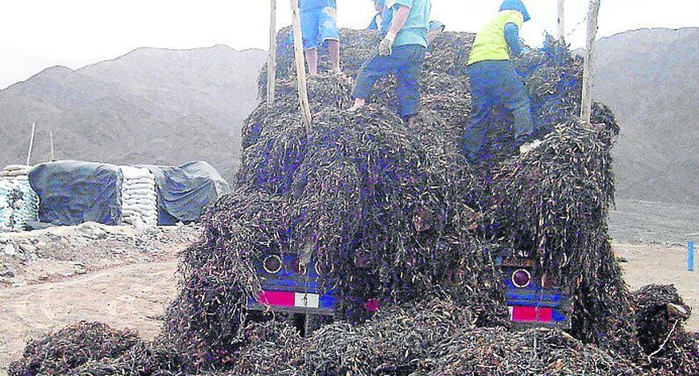 Amenazan a pescadores para que dejen las playas