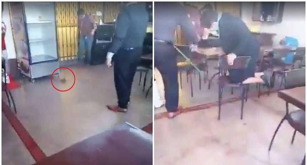 Rata aparece en pollería y comensales escapan desesperados (VIDEO)