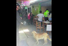 Fuga de gas causa alarma en mercado