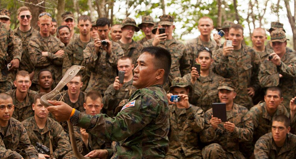 Militares de EE.UU. participan en entrenamiento extremo comiendo escorpiones y tarántulas (FOTOS)
